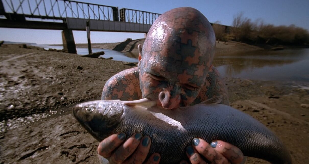 Faux Frères Siamois (Humbug)