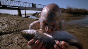 Faux Frères Siamois (Humbug)